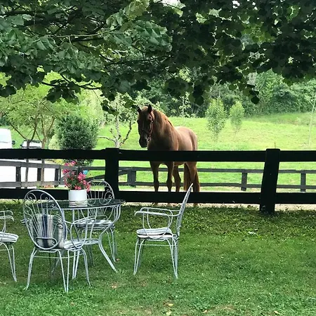 Agroturismo Anziola Séjour à la ferme